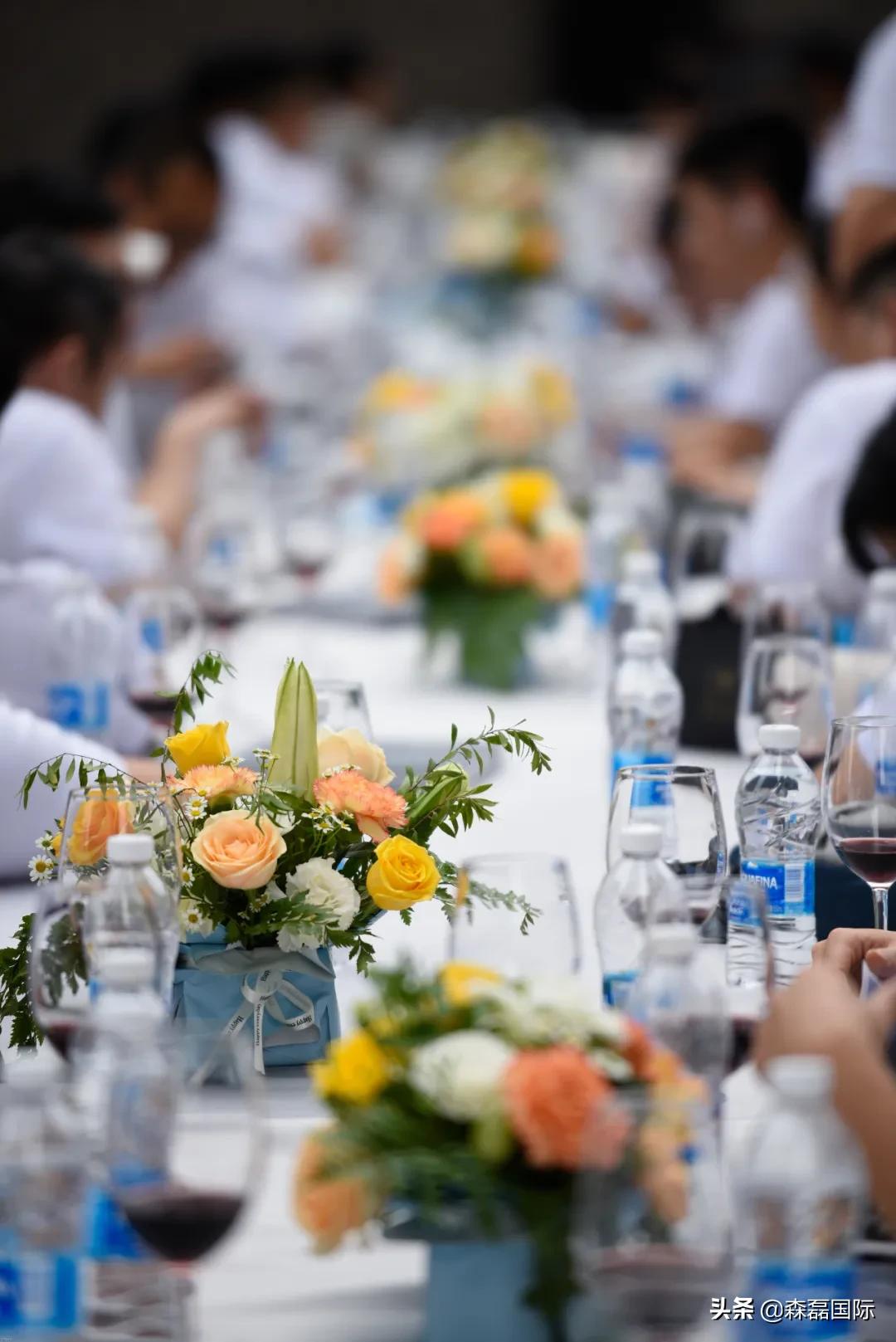 拾级而上，筑梦远航丨森磊国际10周年庆回顾