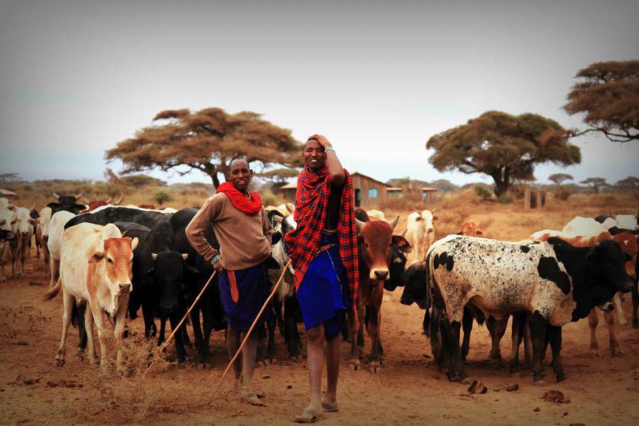 十大最残忍的部落,最原始的部落战斗