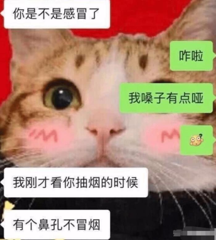 女友平胸该怎么办,平胸女友怎么调侃