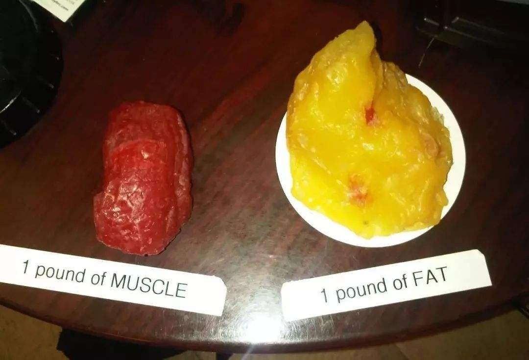 跑步到瓶颈期了体重不降反而长了,跑步半年都没瘦