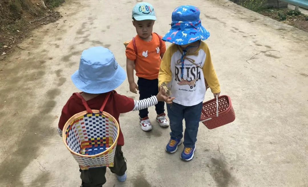 春日自然教育,春日茶语正能量