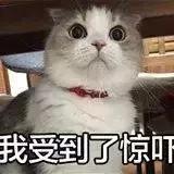 在澳洲被遣返罚款多少,在澳洲旅游被遣返怎么办