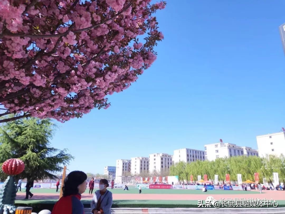 大美长武全部视频,把大好河山收藏