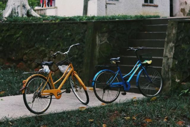 送福利送好运,送福利送红包