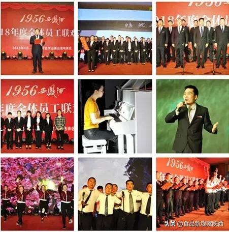 西凤酒厂奖励优秀员工,西凤酒全国五一劳动奖状