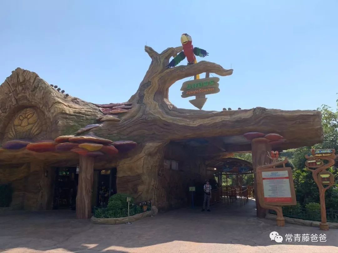 广州长隆游玩攻略水上乐园怎么去,过年去珠海长隆海洋王国游玩攻略