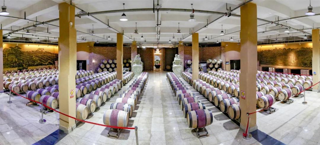 贺东庄园葡萄,河北怀来酿酒葡萄喜获丰收