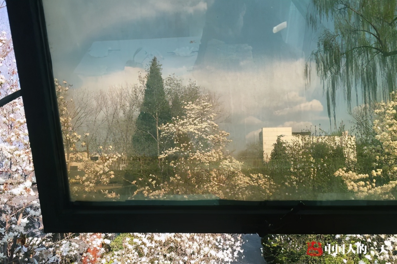 三个中国女人远嫁美国的亲身感悟,女性嫁给老外的真实感受