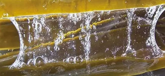 染发不伤头发的日本染发膏,日本染发膏遮盖白发