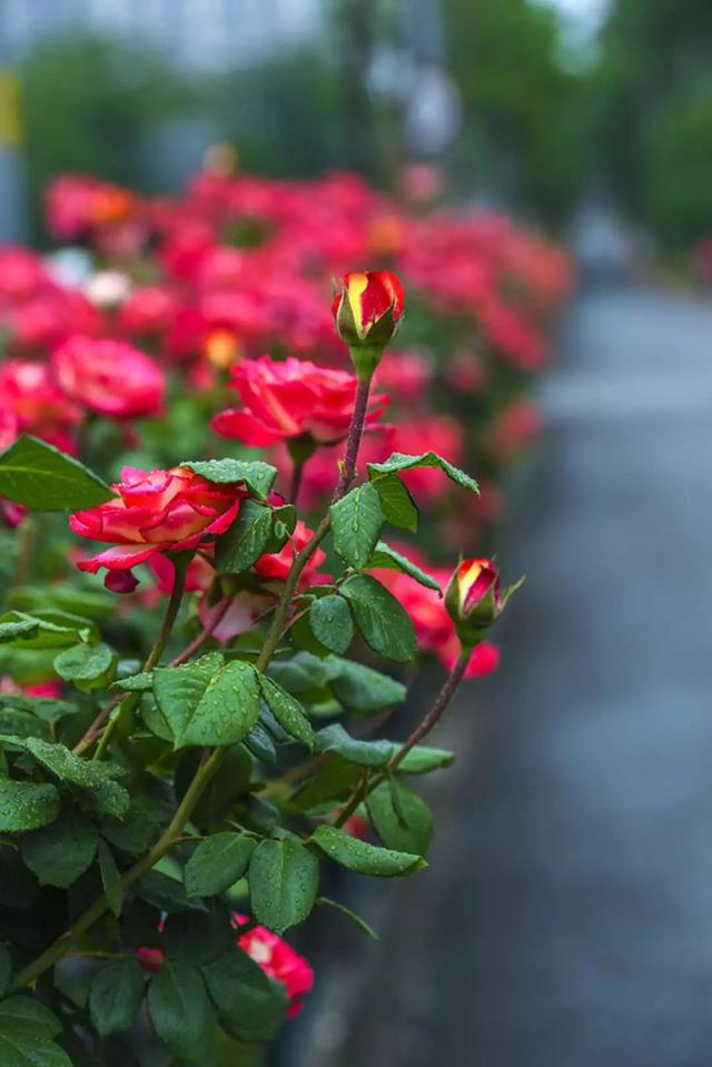 济南地铁线路沿线景点,济南地铁2号线景点