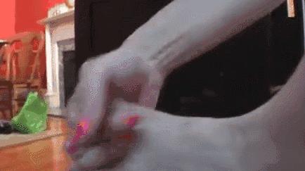 鞋里放个球，轻松解决臭脚问题，一个能顶45天