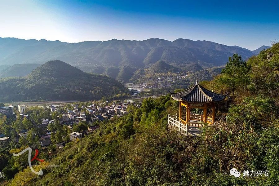 桂林兴安漠川银杏最佳观赏时间,桂林兴安漠川银杏网红打卡地