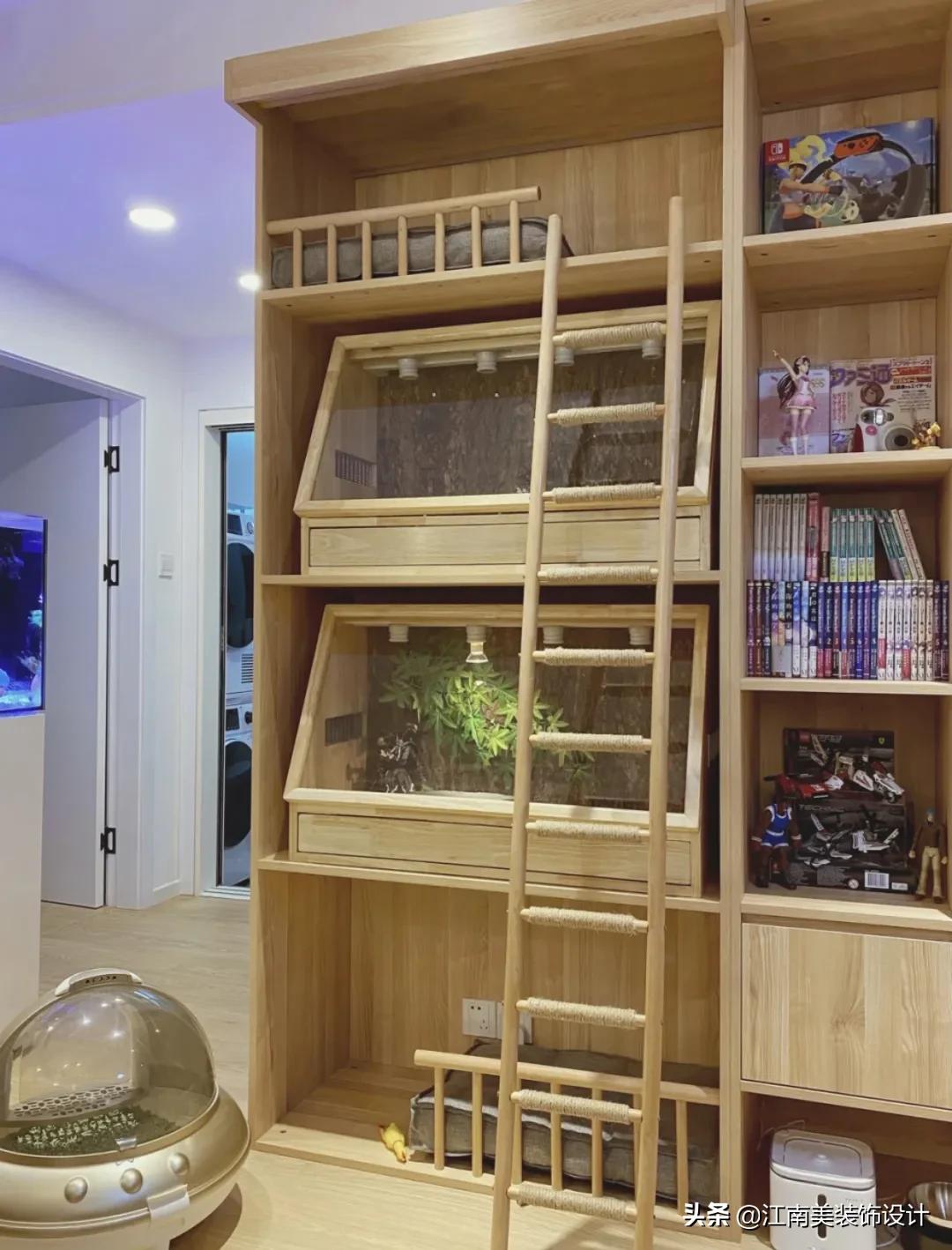 没有阳台的房子养宠物怎么装修,家里养宠物该怎么装修