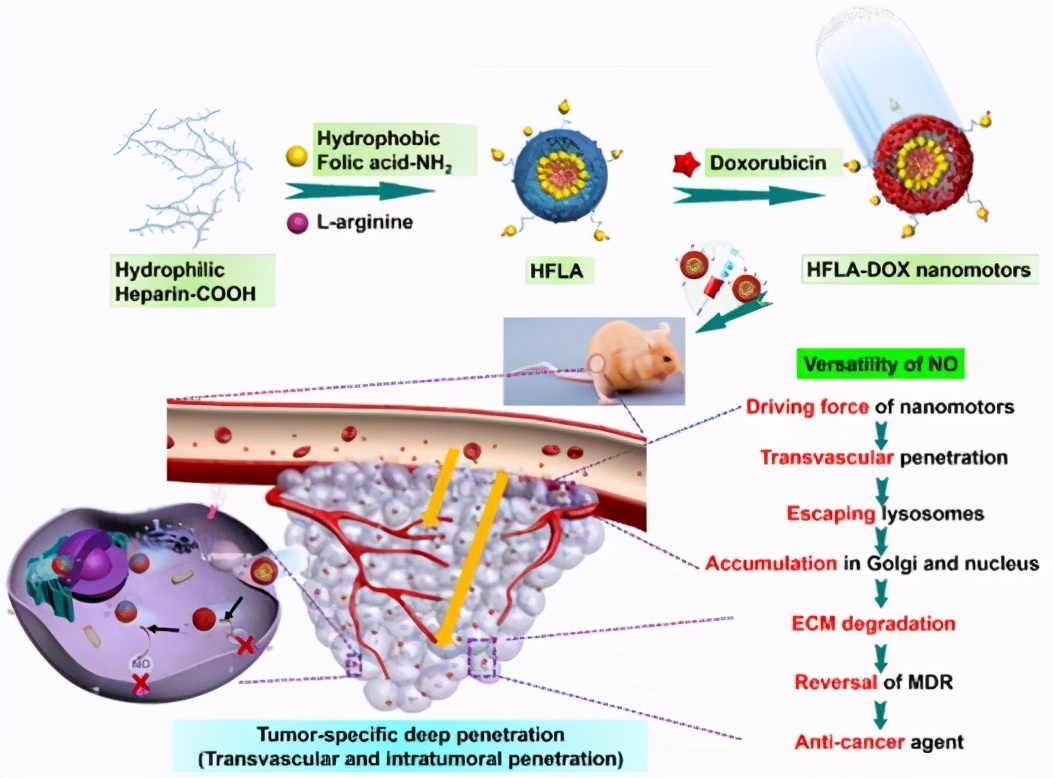 南师大的专项技术有哪些,南大科研成果入选十大科技进展
