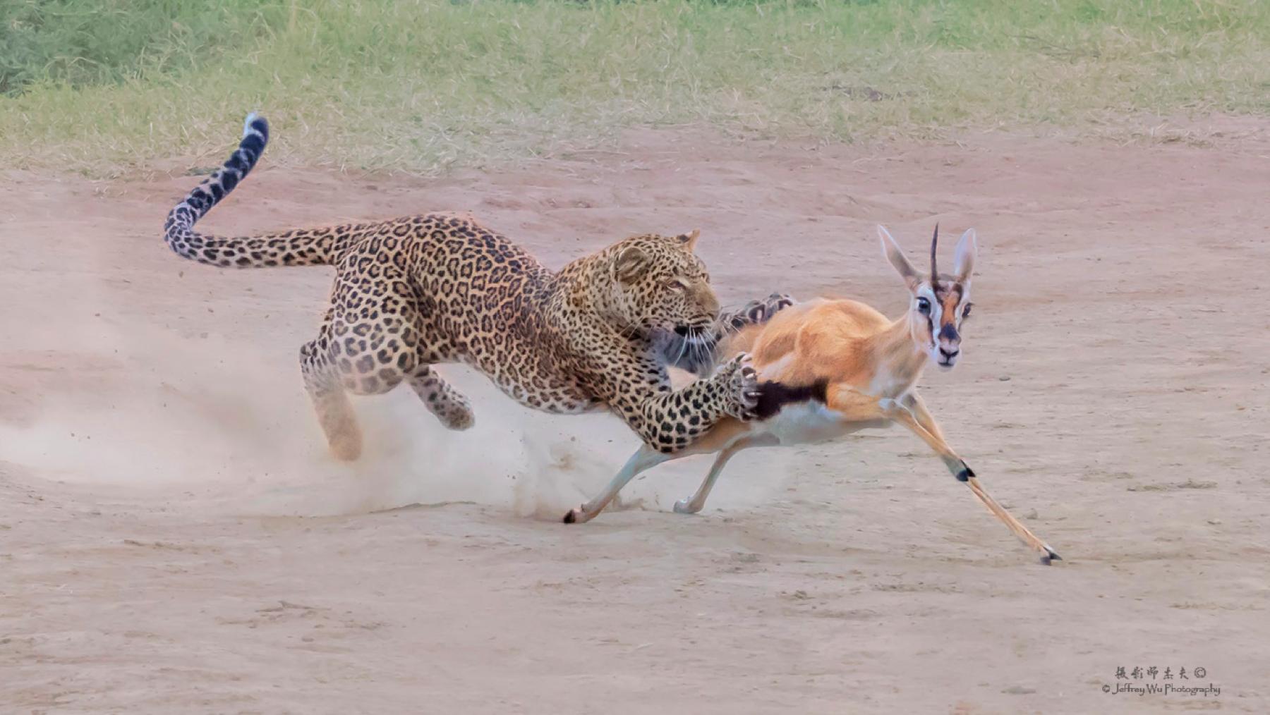 尼康nikond850拍摄视频,摄影器材篇尼康d850