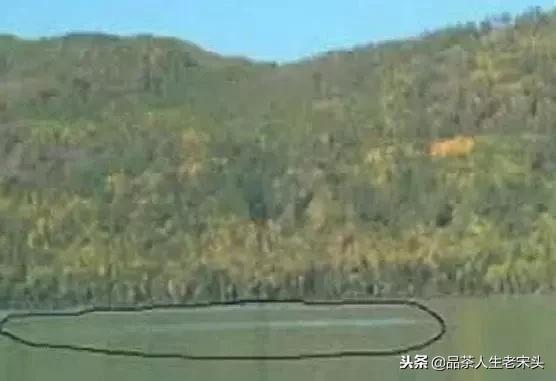 最新世界十大“怪”，最后一个太绝了！