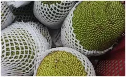 冷门种植项目又能赚钱,种养殖项目什么最赚钱