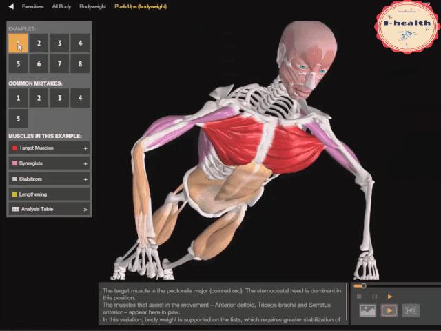 【运动损伤Respond】第一期，俯卧撑与肘关节疼痛。