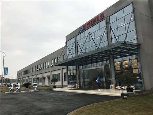 闈炰竴鑸殑鍥涘窛,闈炰竴鑸殑鐗涘ザ