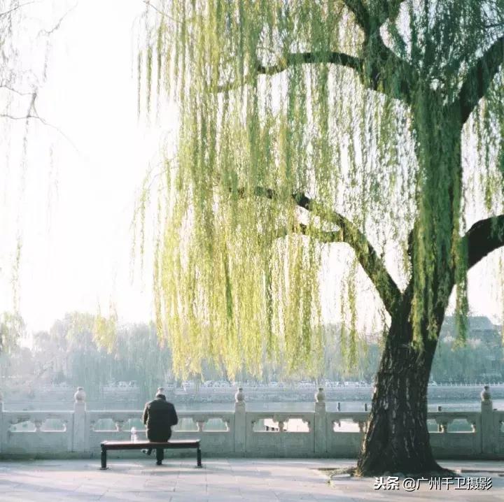 摄影必学的9种构图方法,摄影萌新必学12个构图技巧