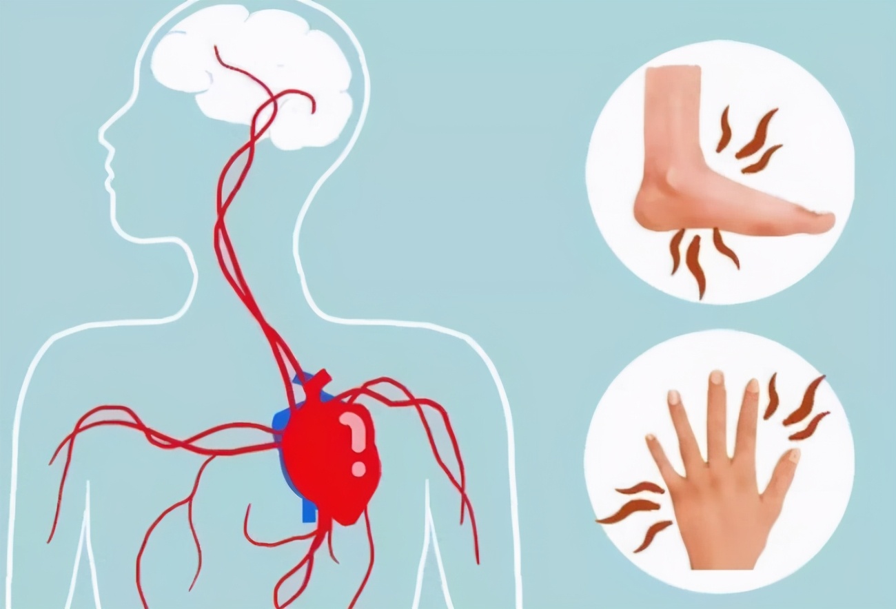 比眼镜蛇毒更厉害的动物,比眼镜蛇还毒20倍的海鲜