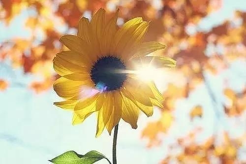 2018民谣歌曲大全100首,2018经典民谣推荐