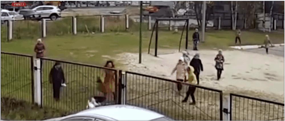 河北保定女童被2恶犬咬死，教你遇到恶犬咬人如何自救和救人