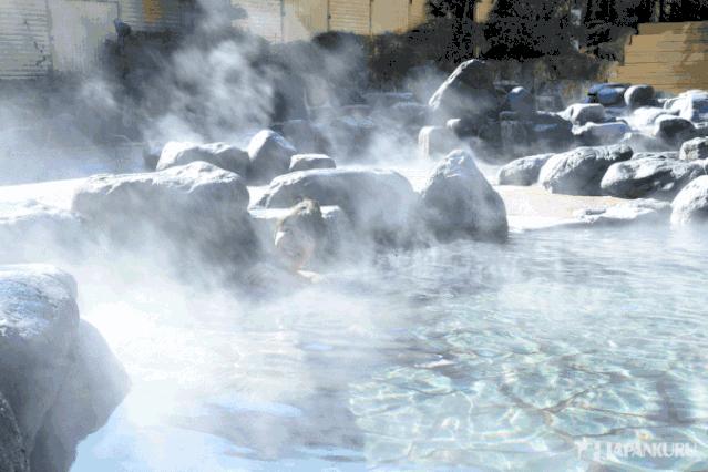 凤翔温泉双人温泉,洛阳凤翔温泉推荐