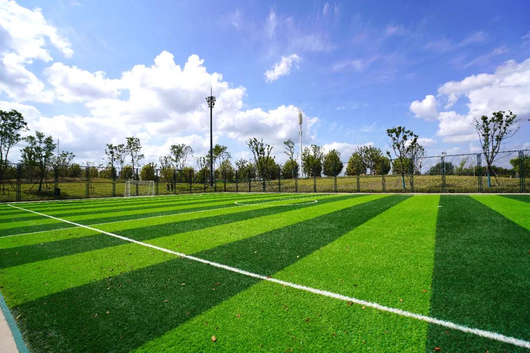 盐龙体育公园开放时间,盐龙体育公园开园仪式