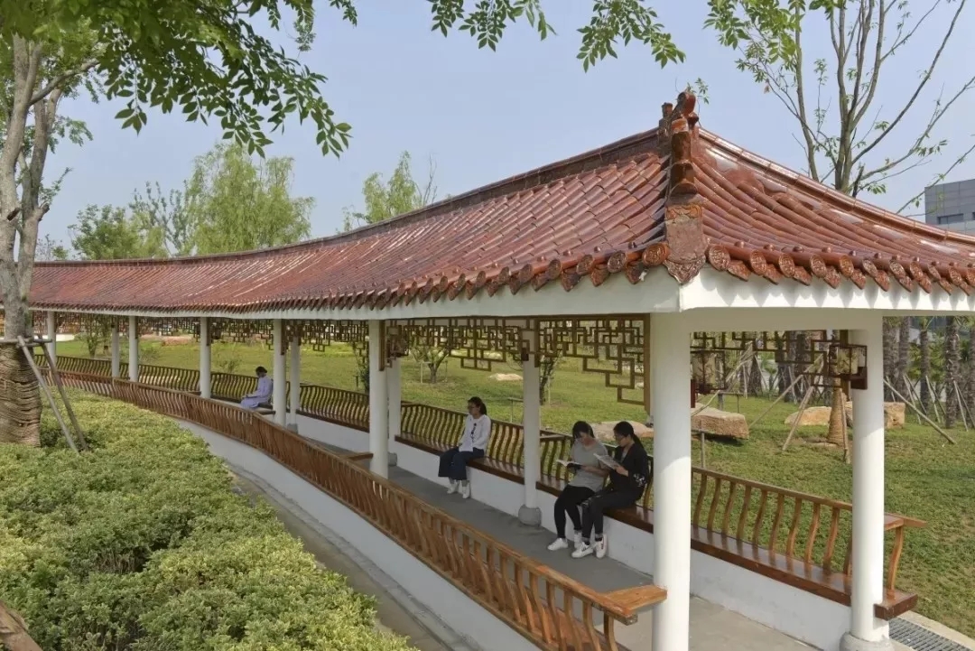 2020年江苏护理职业学院提前招生,江苏护理学院2021提前招生简章