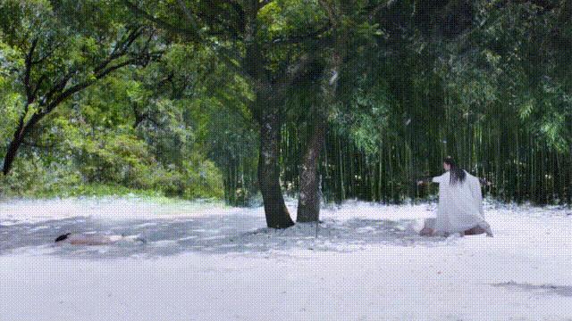 《萦萦夙语亦难求》：自恋少爷追腹黑侍女，反转不断，爆笑不止