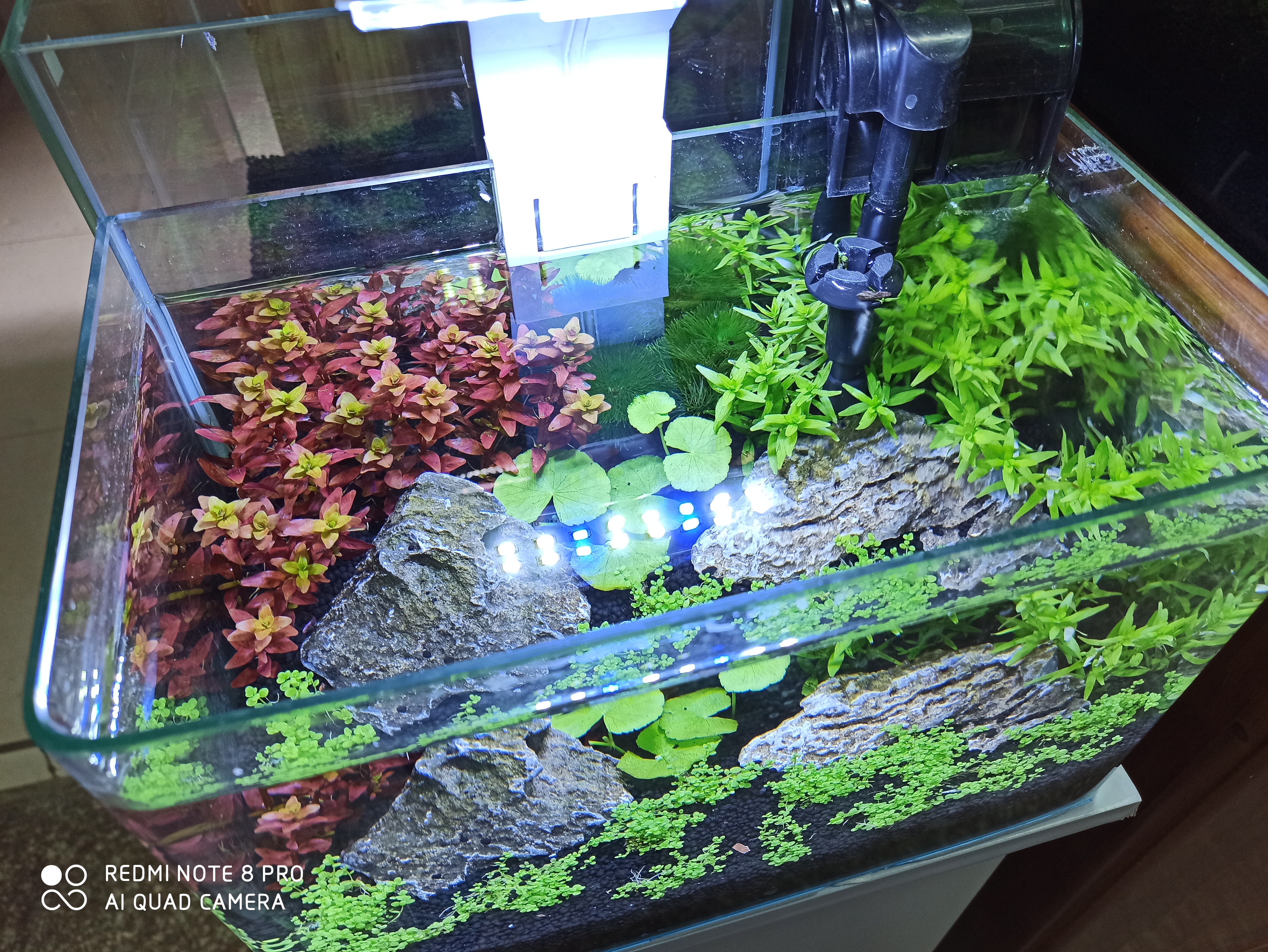 森森小型鱼缸静音过滤循环小水泵,小鱼缸用哪种过滤泵好