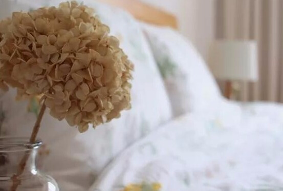 极简风的家具搭配色调,美到极致的家具搭配