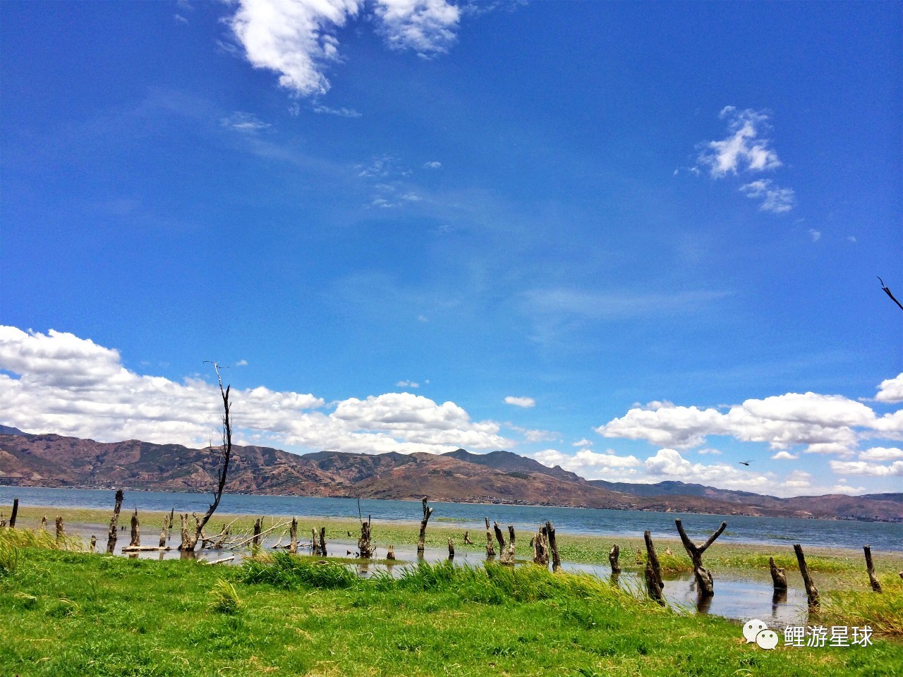 云南大理洱海网红景点打卡,云南大理好看的风景打卡处
