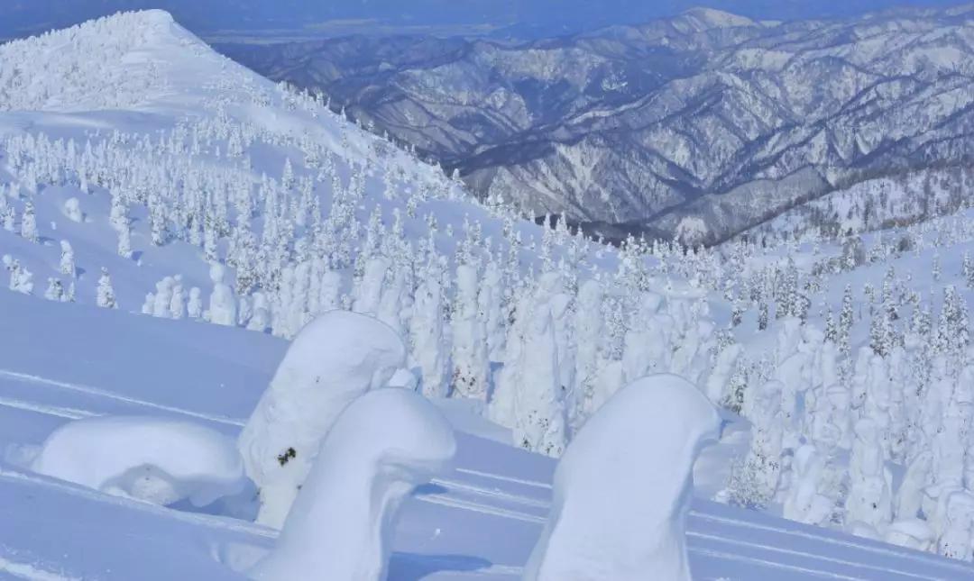 日本旅游攻略保姆级,日本保姆自由行攻略