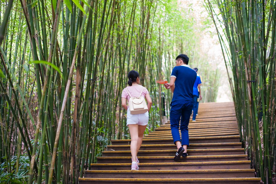 华侨城特价酒店,深圳华侨城酒店特惠