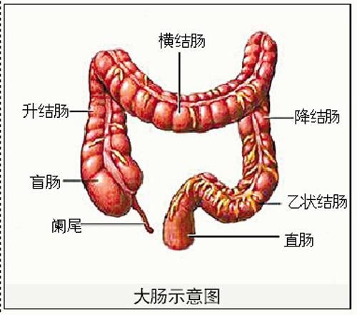 胃肠镜检查辟谣,肠镜结果无异常但医生说是结肠炎