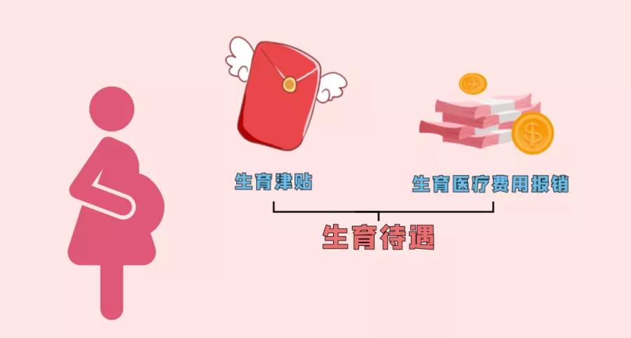 孩子出生以后需要办理哪些东西,孩子出生后五个证件什么时候办理