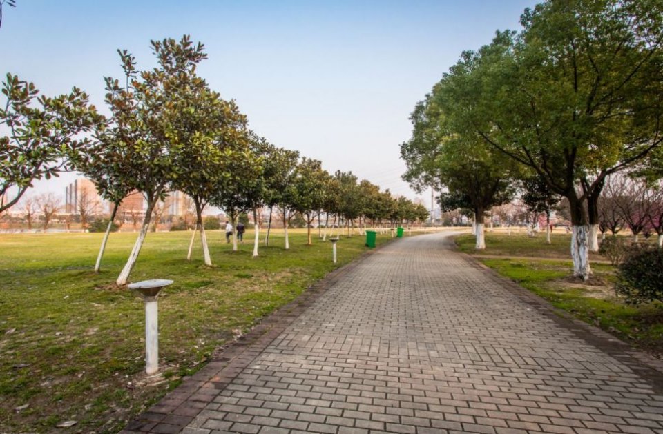 南京免费的公园,太全了