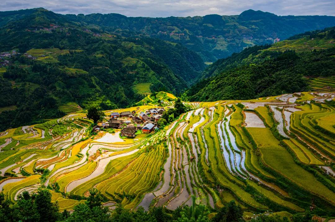 贵州这些景区有5折优惠免票活动,贵州省景区免票政策