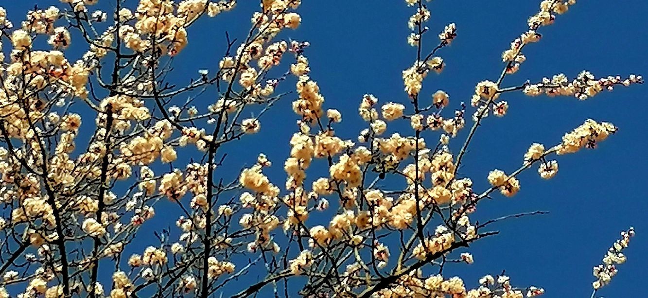 黄崖洞兵工厂是红色旅游景点吗,黄崖洞兵工厂游览视频