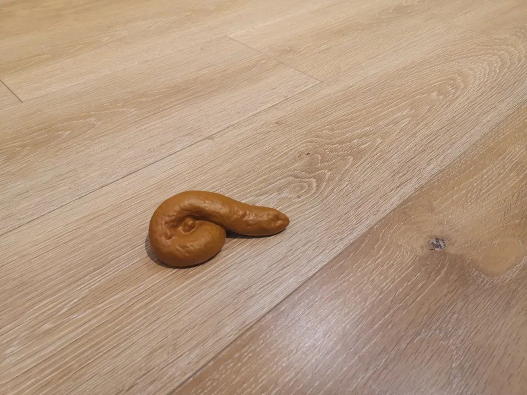 盘点前十名高颜值宝藏好物,10件宝藏好物推荐