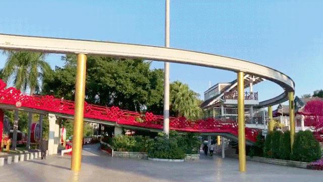 老家人眼中深圳怎么样 (深圳人眼里的深圳是什么样子)