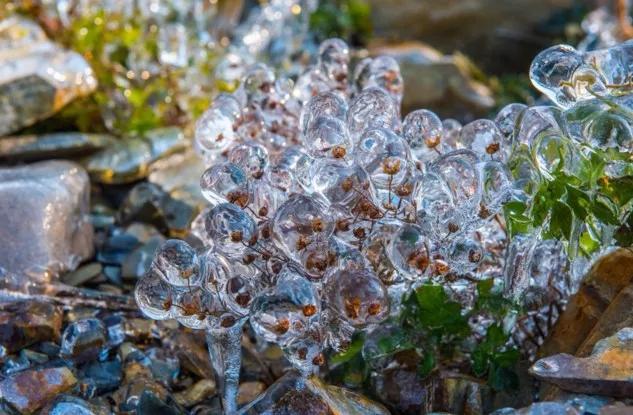 此生必去看一次雾凇太美了,此生必去看一次雾凇简直要美哭了