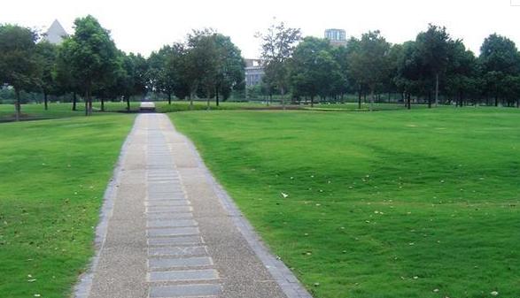 上海就业率最好的二本大学,上海最值得上的二本大学