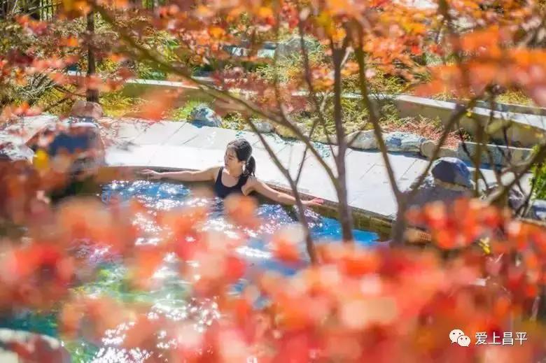 冷冬来袭,寒潮来袭快收下这份过冬锦囊吧