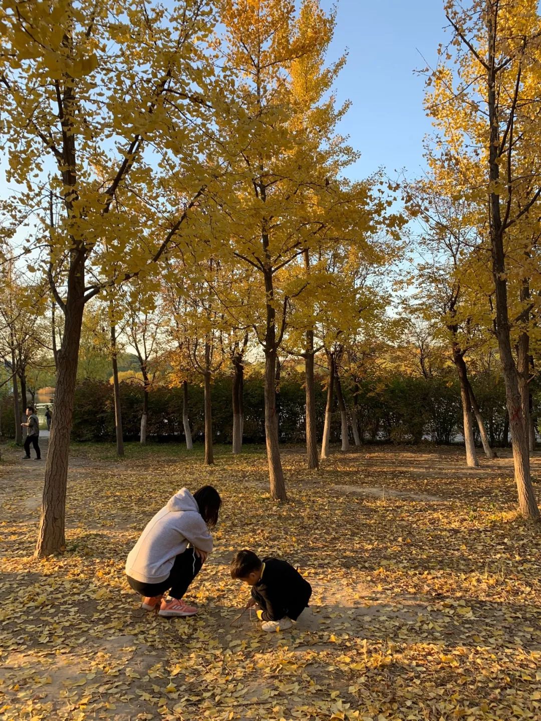 遇见香炉峰日落,2019抓住秋天的尾巴