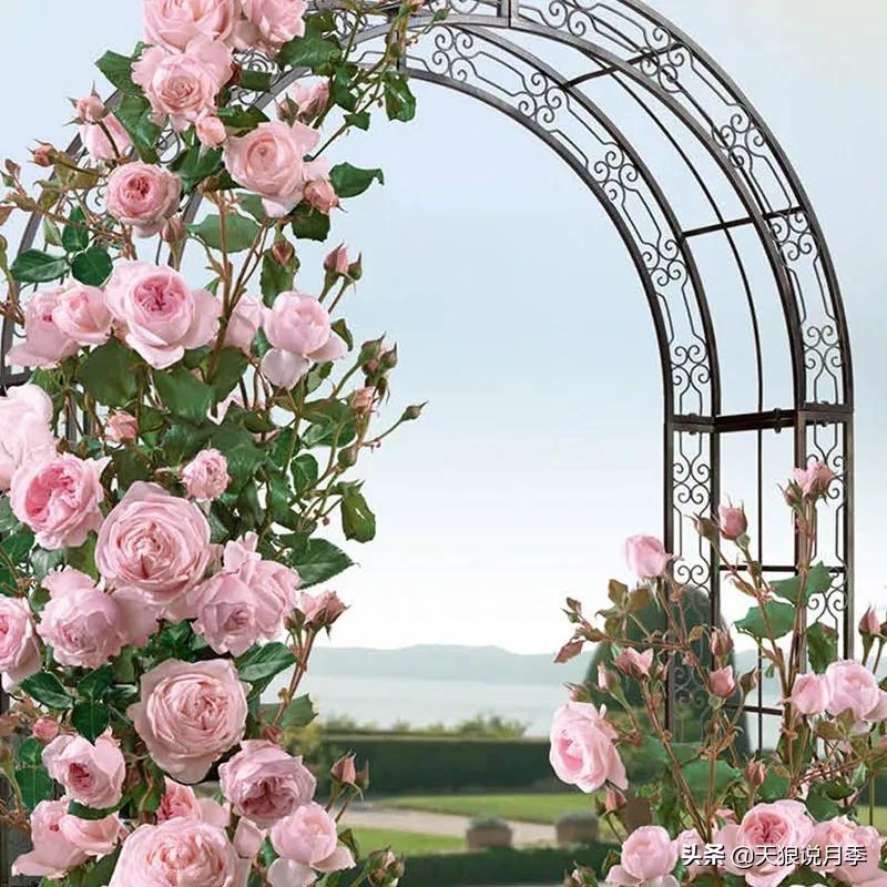 六款香水,6款香水