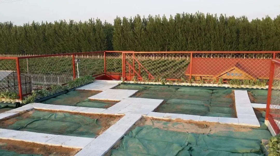 从楼顶看地面,从屋顶看故宫