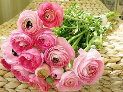 夸赞好人的经典语句,优秀人的赞美句子